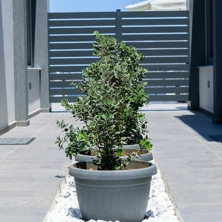 Katakis Luxuryvillas ハニア エクステリア 写真